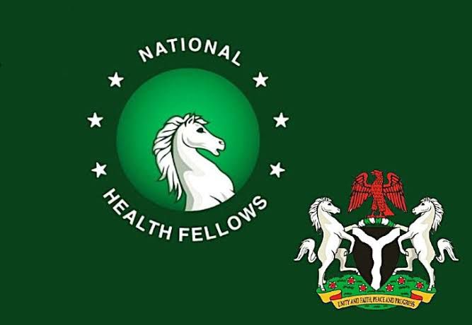 National Health Fellows and Federal Republic of Nigeria identity
